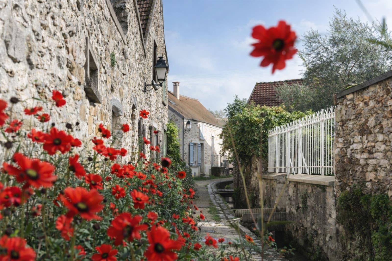 Ruelle en pierre de Maincy bordée de coquelicots